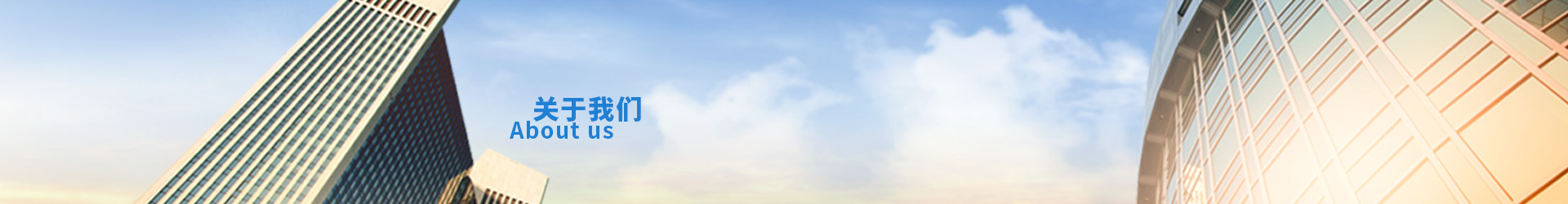 公司簡介